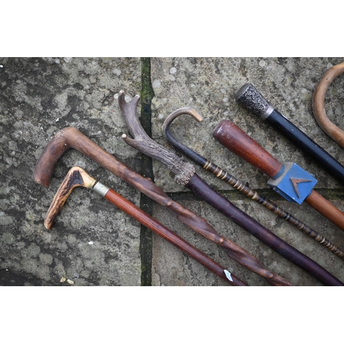 481 - Various vintage walking sticks and canes, including shark vertebrae cane, Masonic carved wood cane, ... 