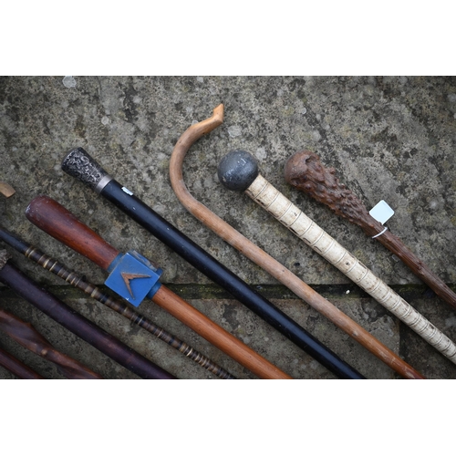 481 - Various vintage walking sticks and canes, including shark vertebrae cane, Masonic carved wood cane, ... 