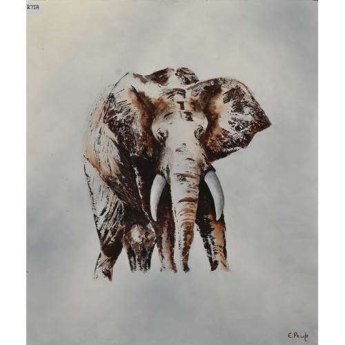 275A - E Pawle - Study of an elephant, oil on canvas, signed lower right, 70 x 60 cm (unframed)