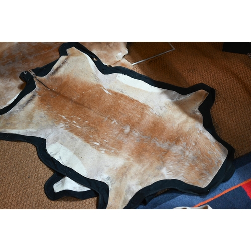 447 - A quantity of gazelle skins, some tanned and traditionally backed/lined, some in the raw, sizes from... 