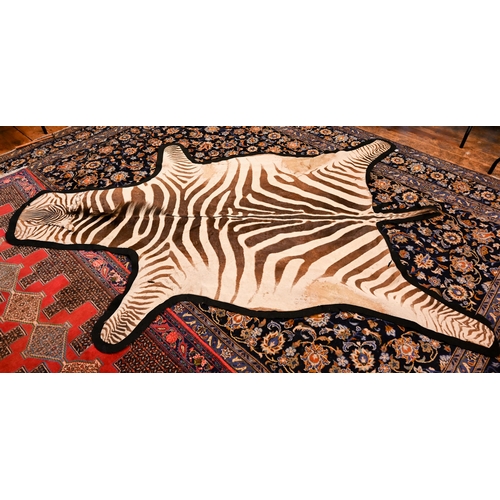 421 - Two vintage zebra skin rugs with black felt backing a/f (2)