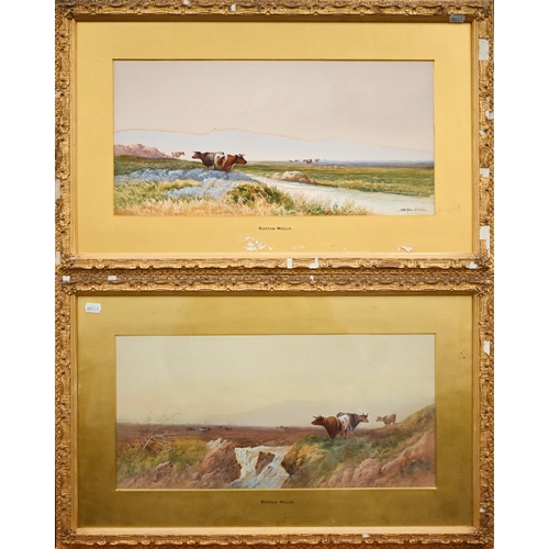 300 - Mixed pictures including two Norton Willis watercolour studies of cattle, Don Brown watercolour land... 