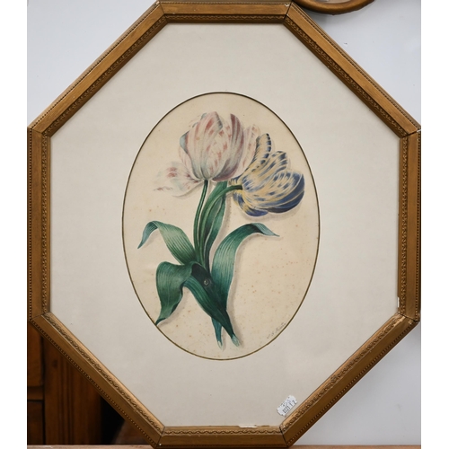 344 - A pair of watercolour botanical studies of roses and tulips, signed S A Martin, 29 x 22 cm to/w two ... 