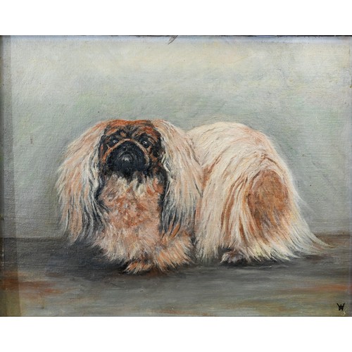 334 - LHW? - A study of a Pekinese dog, oil on canvas laid on board, signed with initials lower right, 40 ... 