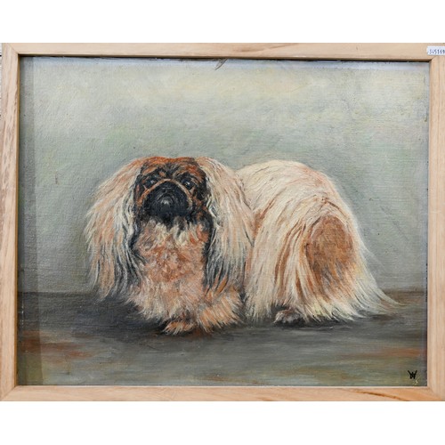 334 - LHW? - A study of a Pekinese dog, oil on canvas laid on board, signed with initials lower right, 40 ... 