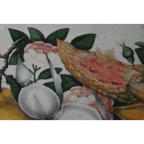 368 - Three 19th century Chinese Canton still life paintings depicting arrangements of vegetables, fruits ... 