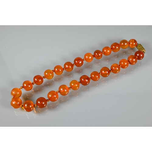 225 - A row of circular amber beads double knotted throughout, approx 40g all in to/w a faux amber bead br... 