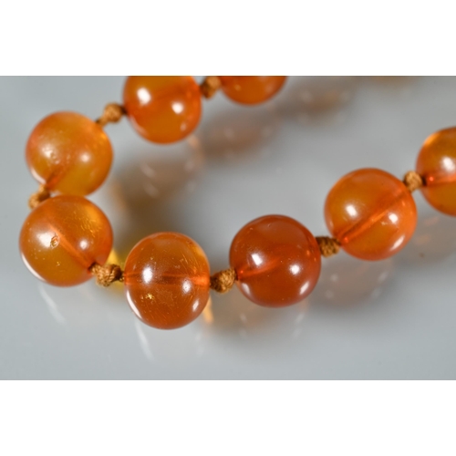 225 - A row of circular amber beads double knotted throughout, approx 40g all in to/w a faux amber bead br... 