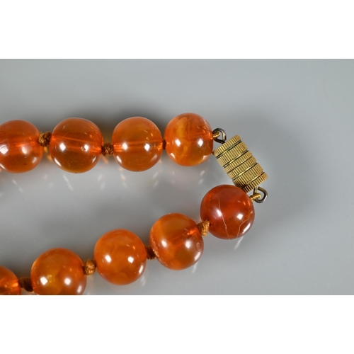 225 - A row of circular amber beads double knotted throughout, approx 40g all in to/w a faux amber bead br... 