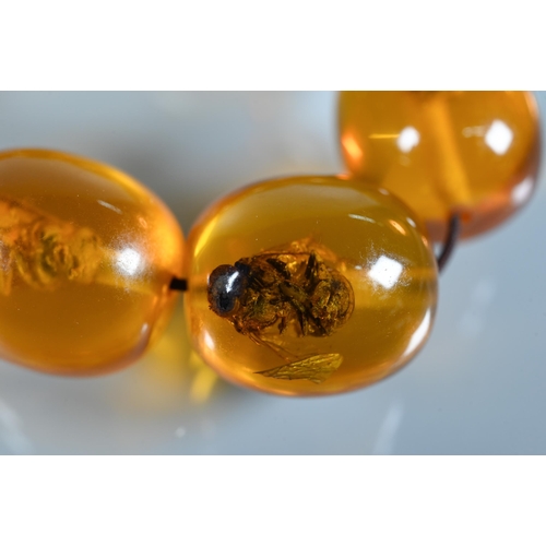 225 - A row of circular amber beads double knotted throughout, approx 40g all in to/w a faux amber bead br... 