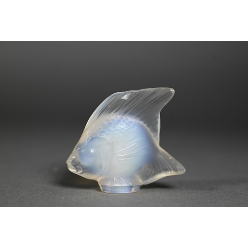 559 - A Lalique opalescent glass fish, 4.6 cm high, impressed 'Lalique' and etched script 'France'