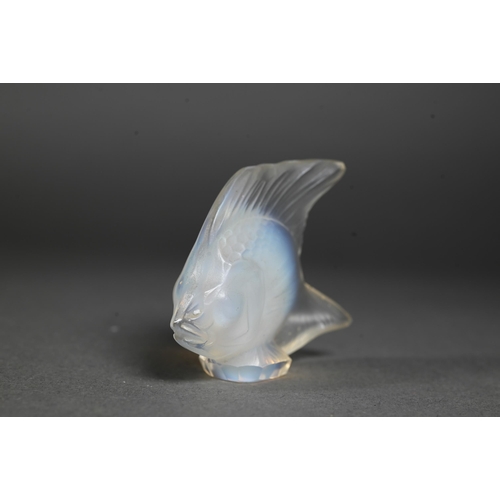 559 - A Lalique opalescent glass fish, 4.6 cm high, impressed 'Lalique' and etched script 'France'