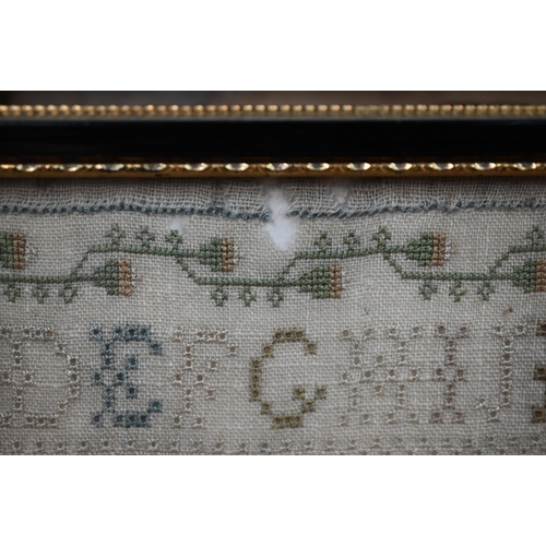 1033 - A George IV needlework sampler, worked with alphabet and numbers above, floral and fauna and whimsic... 