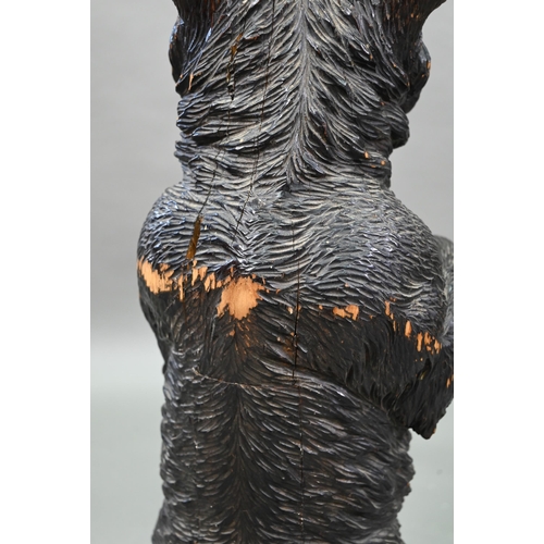 1165 - A 19th century Black Forest carved bear stick stand, with glass eyes and tin liner 86 cm high Lacks ... 