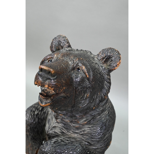 1165 - A 19th century Black Forest carved bear stick stand, with glass eyes and tin liner 86 cm high Lacks ... 