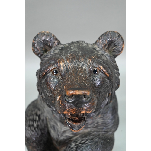 1165 - A 19th century Black Forest carved bear stick stand, with glass eyes and tin liner 86 cm high Lacks ... 