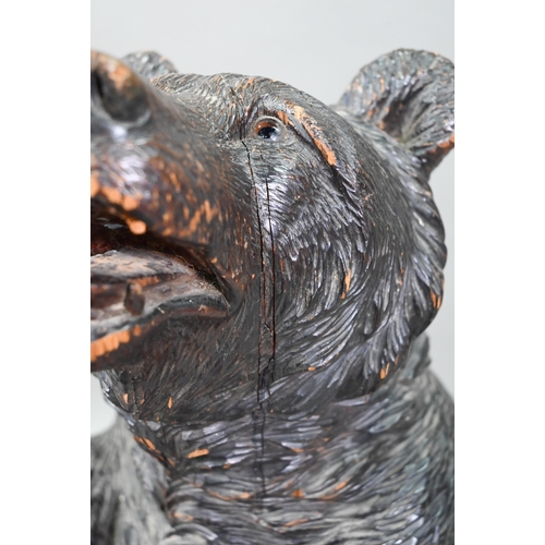 1165 - A 19th century Black Forest carved bear stick stand, with glass eyes and tin liner 86 cm high Lacks ... 