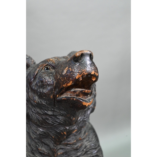 1165 - A 19th century Black Forest carved bear stick stand, with glass eyes and tin liner 86 cm high Lacks ... 