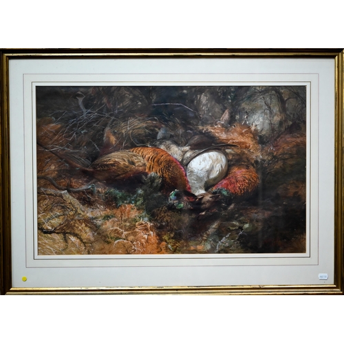 707 - Thomas Sutcliffe (1828-1871) - Dead game birds in undergrowth, watercolour, signed lower right, 44 x... 