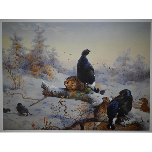 708 - After Archibald Thorburn - Three modern limited edition prints of game birds, 28 x 38 cm, 19.5 x 28 ... 