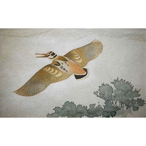 712 - Keith Henderson (1883-1982) - 'Woodcock in flight', watercolour, 20 x 32 cmFaded and discolouredARR ... 