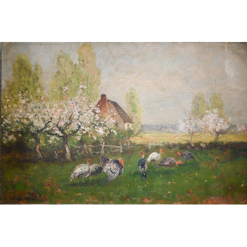 743 - John MacWhirter (1839-1911) - Turkeys in a field at blossom time, oil on canvas, signed lower left, ... 