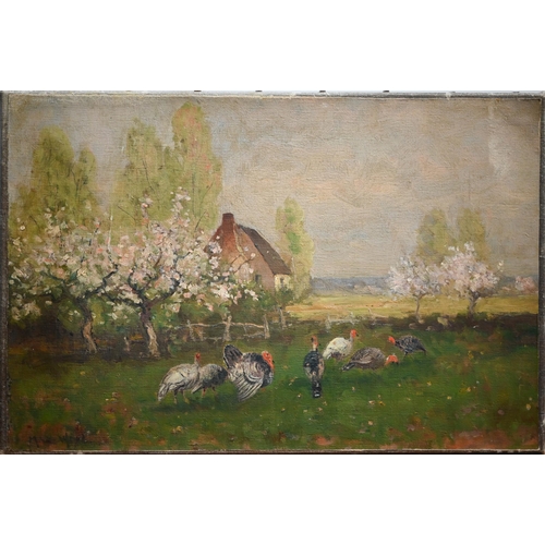 743 - John MacWhirter (1839-1911) - Turkeys in a field at blossom time, oil on canvas, signed lower left, ... 