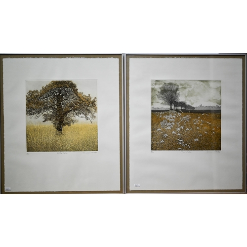 745 - Phil Greenwood (b 1943) - Two coloured aquatint etchings - 'Tree Walk' and 'Little Oak', both number... 