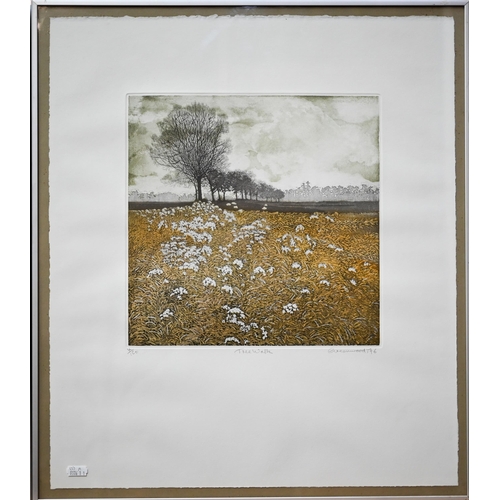 745 - Phil Greenwood (b 1943) - Two coloured aquatint etchings - 'Tree Walk' and 'Little Oak', both number... 