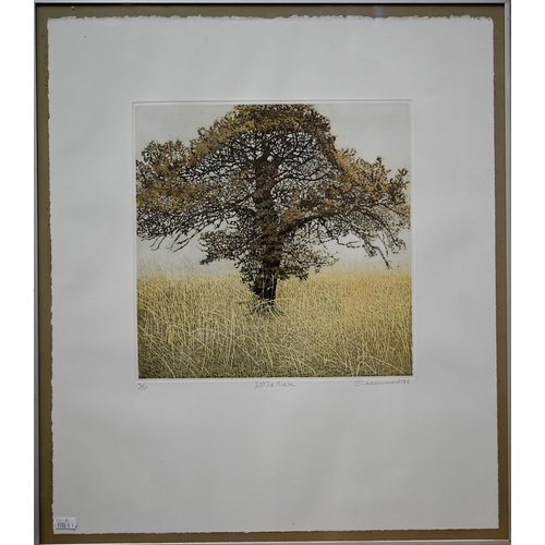 745 - Phil Greenwood (b 1943) - Two coloured aquatint etchings - 'Tree Walk' and 'Little Oak', both number... 