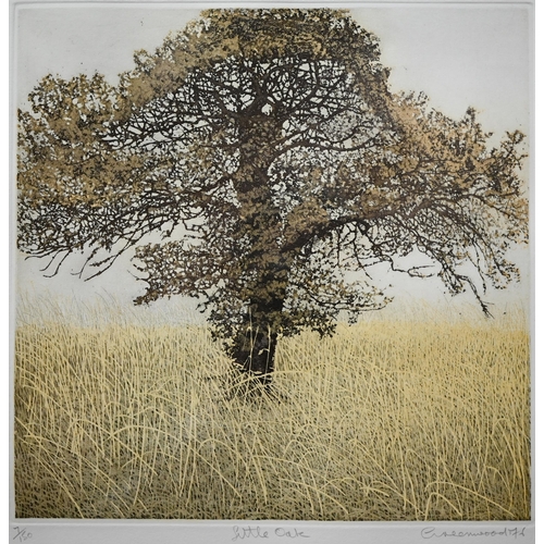 745 - Phil Greenwood (b 1943) - Two coloured aquatint etchings - 'Tree Walk' and 'Little Oak', both number... 