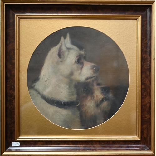 766 - 19th century English school - Study of two terriers, oil on canvas laid on board, 30 cm diam