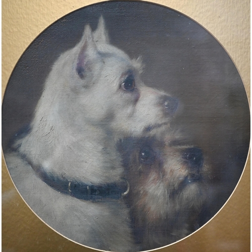 766 - 19th century English school - Study of two terriers, oil on canvas laid on board, 30 cm diam