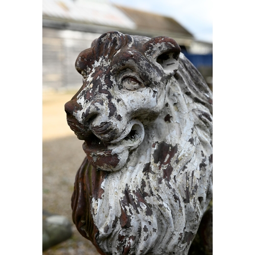 894 - A Victorian terracotta seated lion by Tamar & Coalville Ltd, on rectangular base, 55 cm h, heavi... 