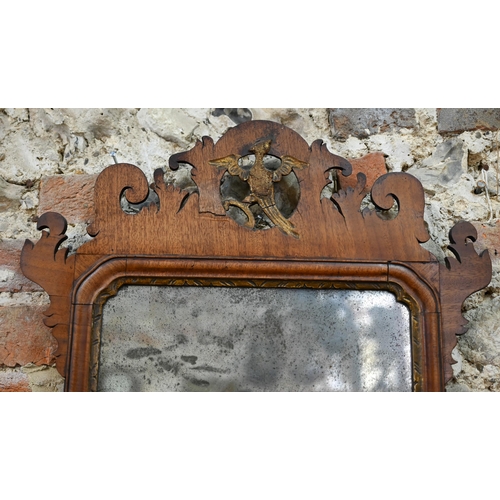 930 - An antique fret-cut wall mirror, surmounted by a ho-ho bird, the silvered plate tarnished with age, ... 