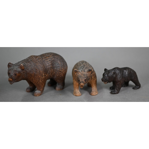 1164 - A pair of Black Forest carved bear book-ends, to/w a matched graduated set of three bears