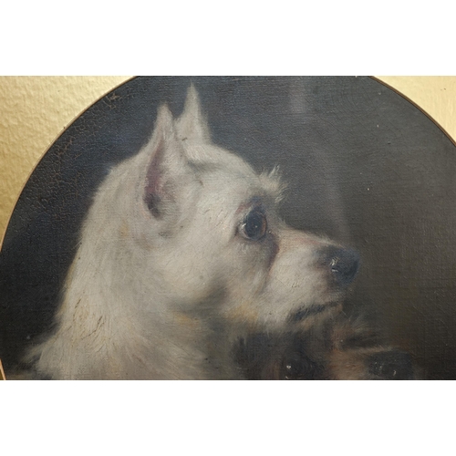 766 - 19th century English school - Study of two terriers, oil on canvas laid on board, 30 cm diam