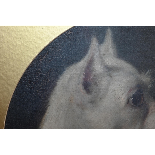 766 - 19th century English school - Study of two terriers, oil on canvas laid on board, 30 cm diam