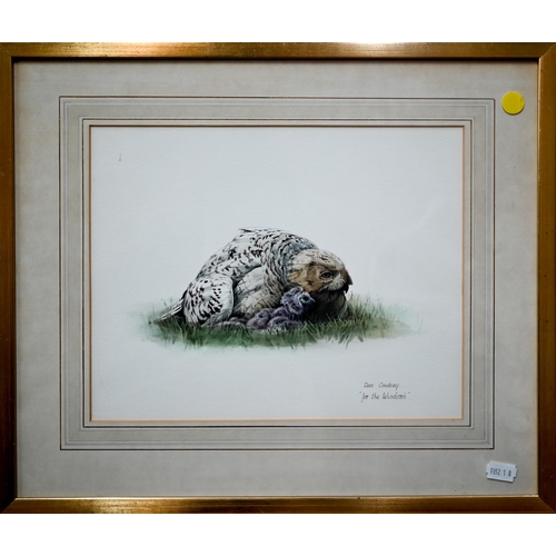 339 - # Don Cordery - 'For the Wisdom's', two watercolour studies - seal pup on flat rocks, signed and ins... 