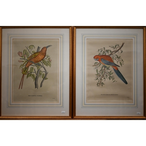 311 - Archibald Thorburn reproduction pheasant print, 32 x 51 cm to/w two exotic bird prints after Gould '... 