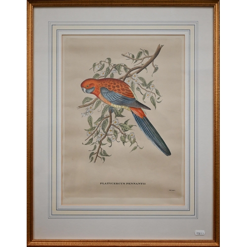 311 - Archibald Thorburn reproduction pheasant print, 32 x 51 cm to/w two exotic bird prints after Gould '... 