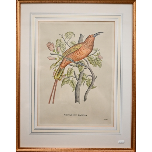 311 - Archibald Thorburn reproduction pheasant print, 32 x 51 cm to/w two exotic bird prints after Gould '... 