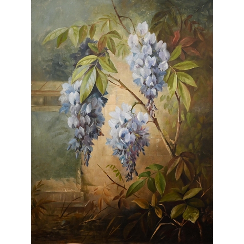 Irish school - Wisteria, oil on canvas, 60 x 44 cm