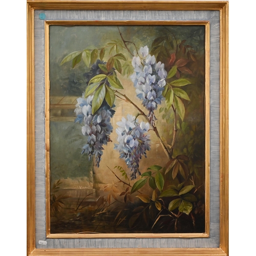 312 - Irish school - Wisteria, oil on canvas, 60 x 44 cm