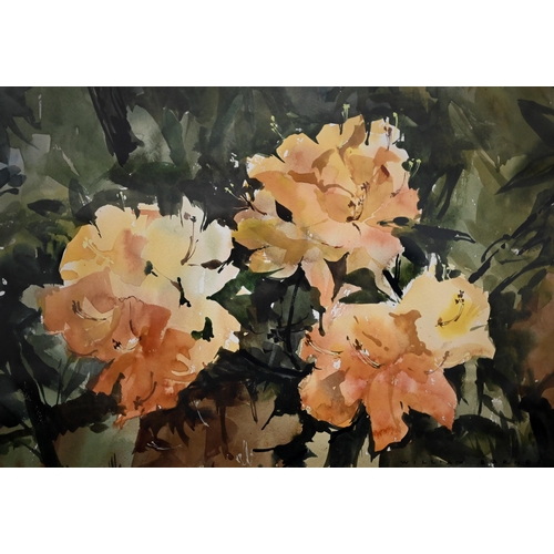 321 - William Barnes - Floral study, watercolour, signed lower right, 27 x 39 cm and Wendy Clouse - Tracto... 