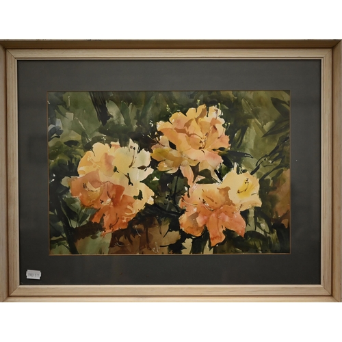 321 - William Barnes - Floral study, watercolour, signed lower right, 27 x 39 cm and Wendy Clouse - Tracto... 