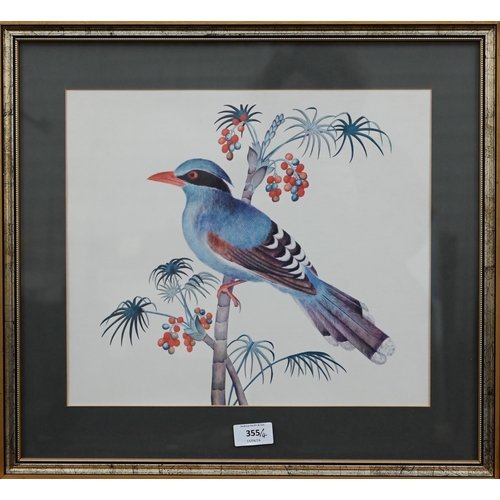 355 - A set of four prints of exotic birds on flowering branches, 30 x 35 cm (4)