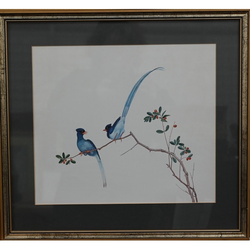 355 - A set of four prints of exotic birds on flowering branches, 30 x 35 cm (4)