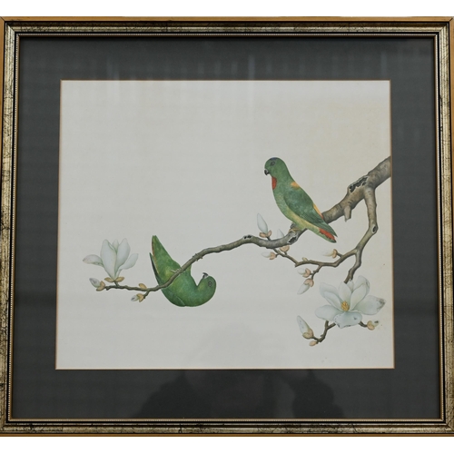 355 - A set of four prints of exotic birds on flowering branches, 30 x 35 cm (4)