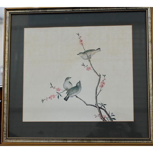 355 - A set of four prints of exotic birds on flowering branches, 30 x 35 cm (4)